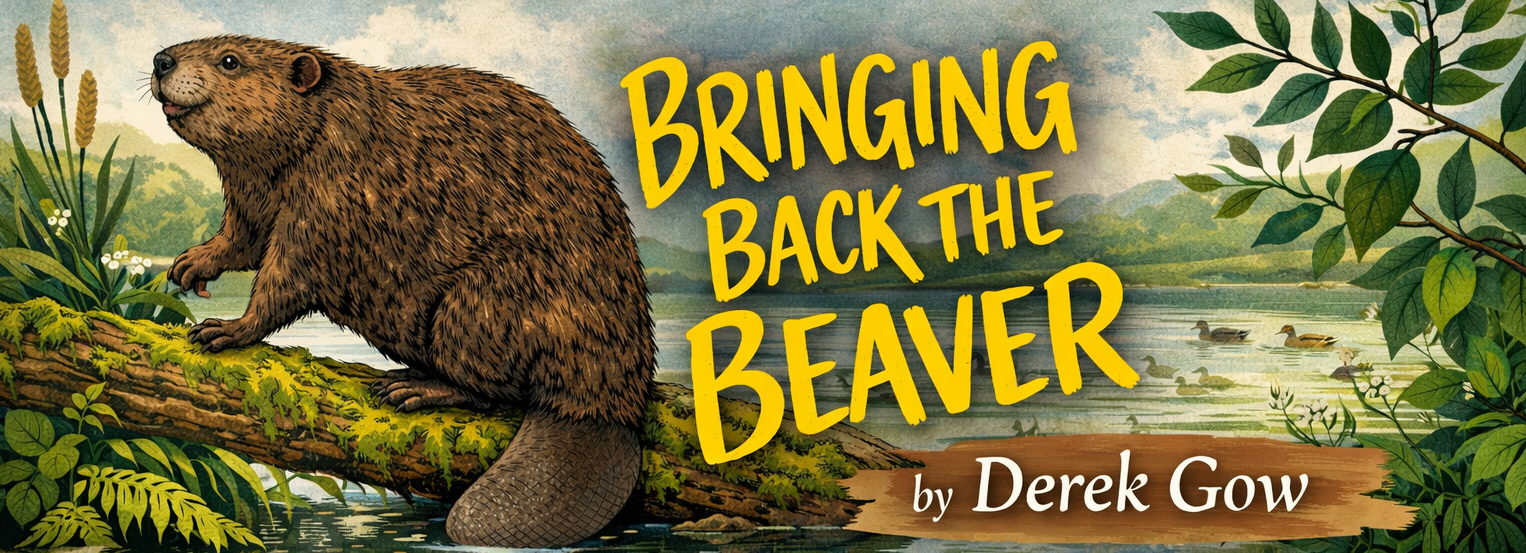 Book Review: Bringing Back the Beaver