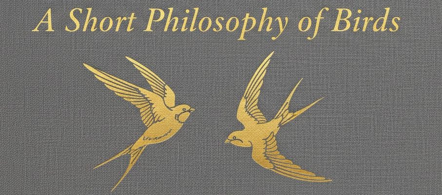 Book Review: A Short Philosophy of Birds by Philippe J. Dubois and Elise Rousseau